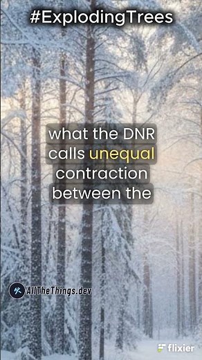 3. Exploding Trees in Winter: What's Behind the Loud Cracks During Extreme Cold