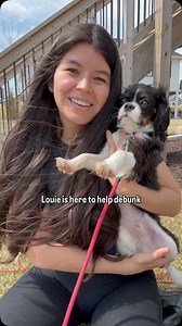 Confused about what your bare root roses are supposed to look like on arrival? Let’s talk about it! The truth is there is very little that should cause you any concern, most things that look strange are totally normal! | Jackson & Perkins