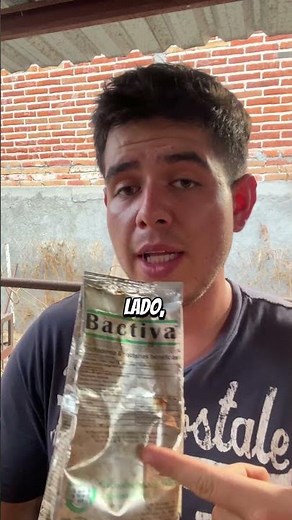 Así es como tendrás el 95% de germinación de tus semillas