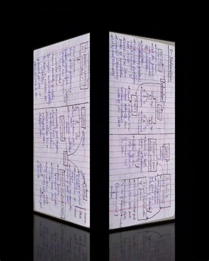 #shorts #class 10 mind maps 📝 social science (political science) final board exam