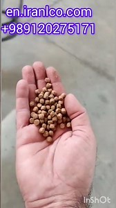Amazing Floating Fish Feed Production Line in Action!(Trout Feed Manufacturing) #FishFeed #Extruder