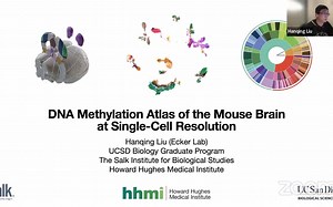 CGM第二百一十七期 刘翰青博士 基于单细胞甲基化的小鼠脑细胞图谱