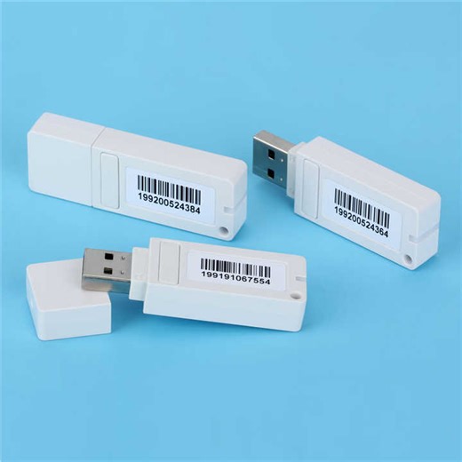 DTF Roll to Roll Printer Partner Dongle 10 DTF Rip Software 10.03 for Epson L800 L805 1430 1390 1400 Printer