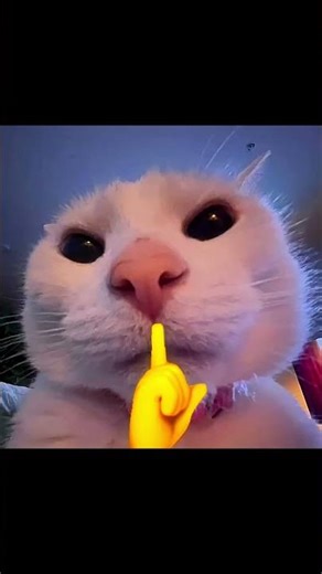 😂 Free Fire Comedy Video – You Can’t Stop Laughing!