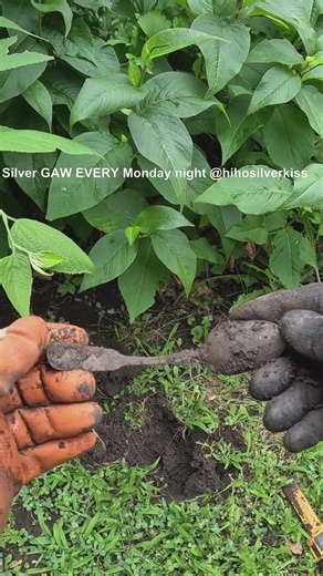 Cleaning This 'Junk' Spoon Revealed Something INCREDIBLE
