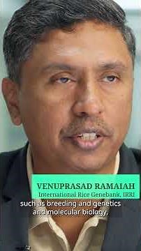 Smart Rice, Smart Water: Innovation from the Philippines | CGIAR #agriculturalscience