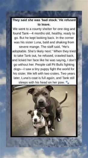 They Called Her “Bad Stock.” He Refused to Leave Without Her.