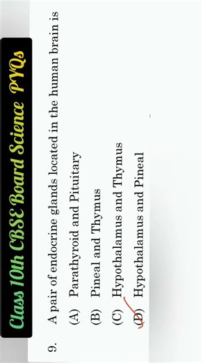 Class 10th Cbse board Science Q.9