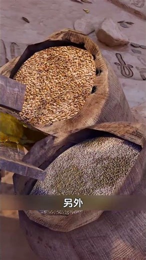 古埃及时期的验孕方式有多离谱！ #科普 #动画 #脑洞 #冷知识