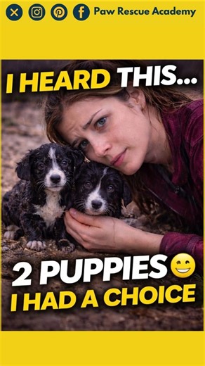 I Heard Them Crying… Then I Saw This 😳