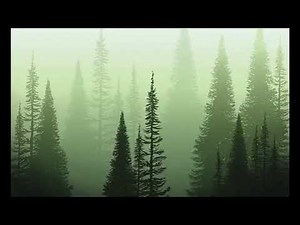 The Three Ravens (Old English folk song) Instrumental