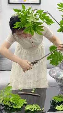 Cắm cành sấu, ai ngờ lên bình đẹp và có duyên thế này các bác ạ! 💚