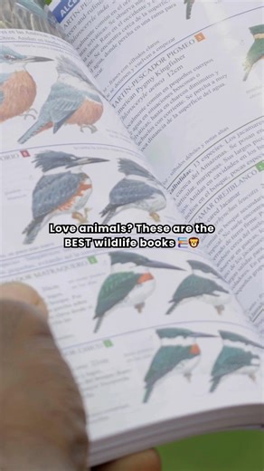 Looking for the best wildlife books in 2025? This ultimate list features bestselling animal books, powerful wildlife conservation stories, and unforgettable reads about elephants, birds, primates, oceans, and more. Perfect for nature lovers who want to feel closer to the wild—one page at a time. 👉 Read the full list here: https://monkeysandmountains.com/wildlife-books/ #wildlifebooks #animallovers | Monkeys and Mountains Hiking Tours