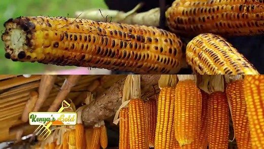 8.3K views · 148 reactions | Welcome to Kenya’s Gold maize classes!!! Every Tuesday only on #KenyasGold | Citizen TV Kenya | Facebook