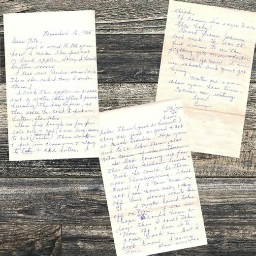 Dried Apple Pie Filling This vintage pie filling recipe is as comforting as it gets, soaked dried apples, warm cinnamon, and butter come together to make a perfect pie! Link in first c.o.m.m.e.n.t! #applepie #vintage #comfortfood #fallbaking #homemade #dessert | Salvaged Recipes | Facebook