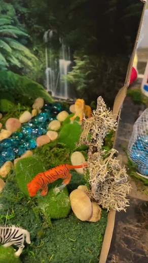 My Pre-K habitat project #habitat #rainforest #fyp #foryou