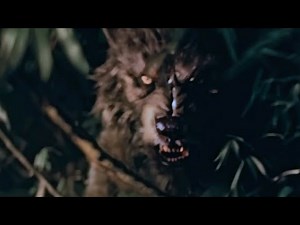 Real DOGMAN Footage!! This is POWERFUL Evidence For America’s Scariest Cryptid!!