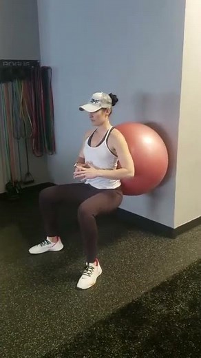 Stability Ball Wall Sit Pulse