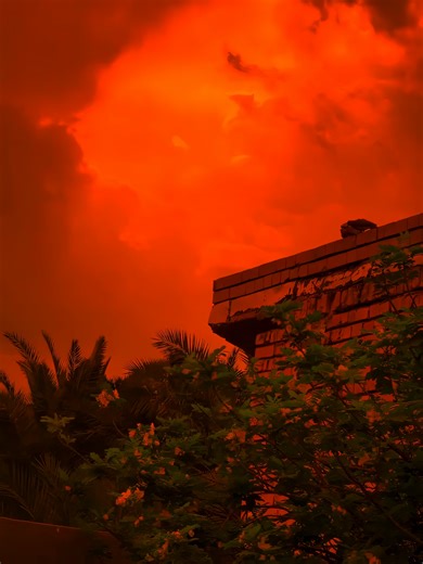 Exploring the Orangecore Aesthetic (Part 2)