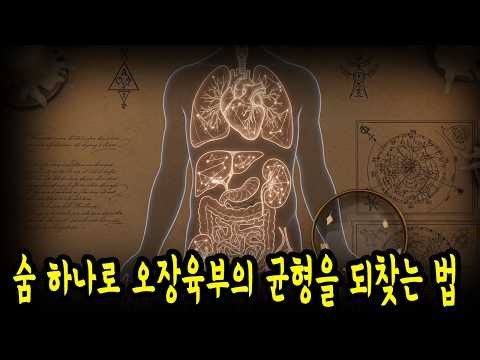 Six Organs and Five Internal Organs Breathing Method: Miracle Healing Energy That Revitalizes My ...
