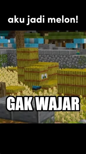 Aku Menyamar Jadi Melon!