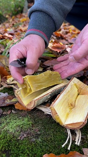 Survival Skills: A night flashlight for extreme conditions. #survival #camping #lifehacks #bushcraft #skills #idea #outdoors