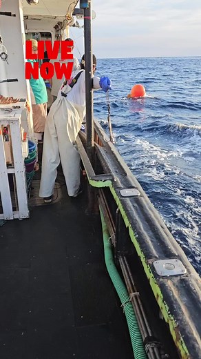 Live Stream: Sinful Grouper Set Hauling in Deep Sea - Tilefish Gear #FISHERYBYTRADE