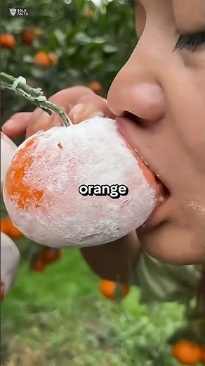 🌱 Healthy Life Tips | Simple Daily Habits for a Stronger, Happier You 💪✨