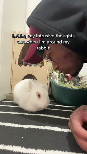 Dealing with Intrusive Thoughts Around My Rabbit