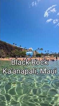 Black Rock Snorkeling in Ka'anapali Maui 🌸 April 2026 #kaanapali #maui