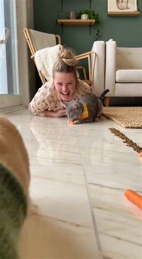 😂🐈 funny moments of eating food fast challenge #challenge #funny #petfood #foodfast