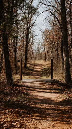 Something EPIC is missing from your ride… a Specialized Epic 8, that is 😬😎 | Wheeler Dealer Bicycle Shop