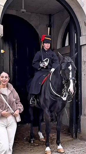 Quiet Doesn’t Mean Permission — Do Not Enter the Guard’s Box #KingsGuard #BuckinghamPalace #HorseGuards #RoyalGuards #RespectTheGuards #fblifestyle | The King's Horse Guards London