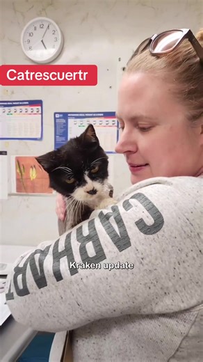 Kraken Update! We learned a lot at the vet today. We have some good news and some very sad news. In the good news, Kraken does not have BB pellets in her. The ball we found under the skin is actually a cyst, and the small marks around it are cysts forming. We are very relieved that she hadn't been shot. The devastating news is that she is in stage 4 kidney failure 💔 Unfortunately there isn't a cure for renal failure, and at this stage, the treatment is palliative. To start, we will be giving su