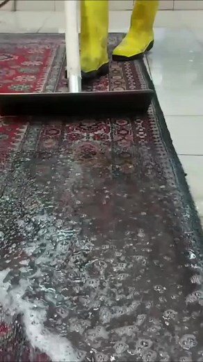 Effective Carpet Cleaning Techniques with Squeegee