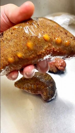 【ナマコ酢】男飯、グルメな一日 簡単レシピで晩酌