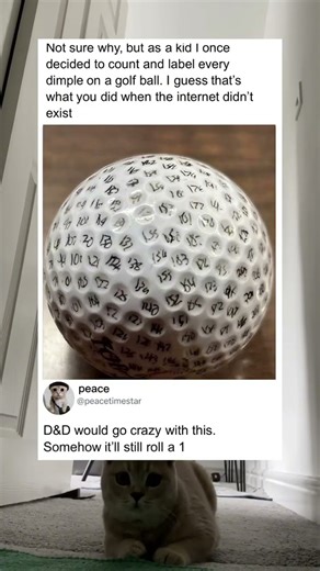 Counted and labeled every dimple on a golf ball