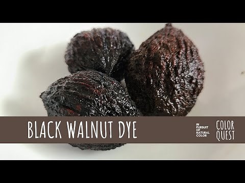 HOW TO MAKE NATURAL DYE WITH BLACK WALNUT HULL & SHELL | ORGANIC COLOR | BEIGE TAN BROWN BLACK