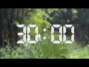 30 minute timer natural rain timer white noise timer