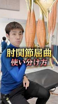 How to use the elbow flexor muscles: Biceps brachii, Brachialis, Brachioradialis #PhysicalTherapy