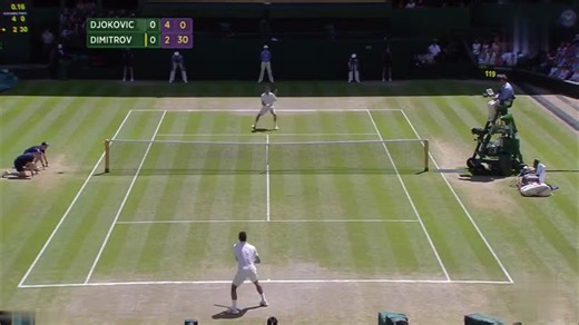 Djokovic vs Dimitrov - Wimbledon 2014 SF Full Match - TokyVideo