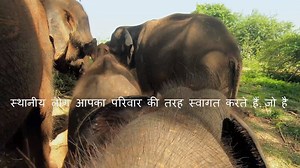 159K views · 735 reactions | Looking for an adventure destination? This time, make your way to the irresistible island of Sri Lanka. There's so much to see and explore in Sri Lanka. From breathtaking landscapes to pristine and endless beaches. And from rugged elephant trails in the Udawalawe National Park to historical monuments like the world famous Sigiriya Fortress. | Tourism Sri Lanka | Facebook