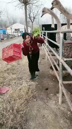 Efficient Clipboard Management with Gboard