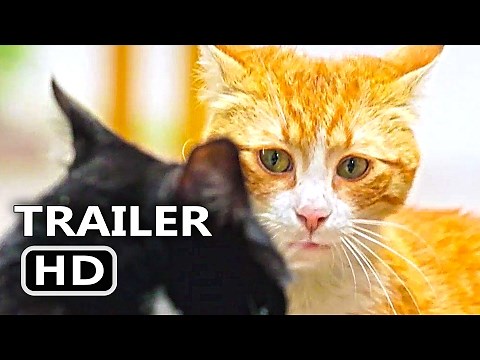 KEDI Official Trailer + Clip (2017) Cats Documentary Movie [HD]