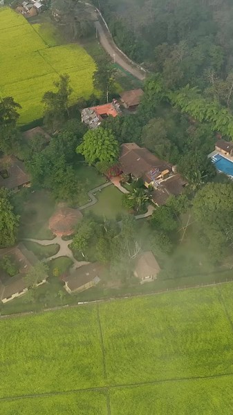 Escape to tranquility this season at Green Mansions, Chitwan. #resort #fyp #greenmansions #traveltok