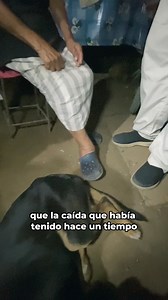 🎥 Conoce a la abuelita Lucy 💪✨ Ella es la abuelita Lucy, una mujer llena de historias y una increíble fortaleza. A pesar de haber sufrido algunos accidentes, como una fractura en el pie, su espíritu sigue siendo inquebrantable. 🦶❤️ 📱 Si quieres conocer más sobre Lucy y otros abuelitos como ella, entra a nuestro Whatsapp de noticias a través del link en la bio. ¡Juntos podemos seguir ayudándolos a levantarse una y otra vez! 💚 #LBScare #FuerzaDeVoluntad #AbuelitaLucy #NuncaTeRindas #AyudaALos