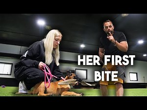 Starting Malinois Puppy in Protection Work - How to with Haz