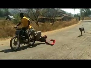 Dog Chasing a high speed bike gone wrong | Funny videos 2018
