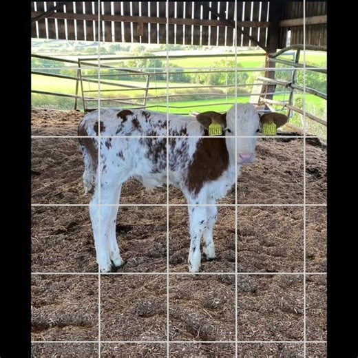 F - Farms - Grid Over Photos - 2 of