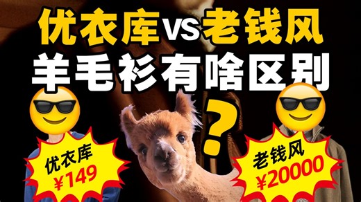 从聚酯纤维到山羊绒，材质鄙视链如何收割普通人？【暗中观察414】IC实验室